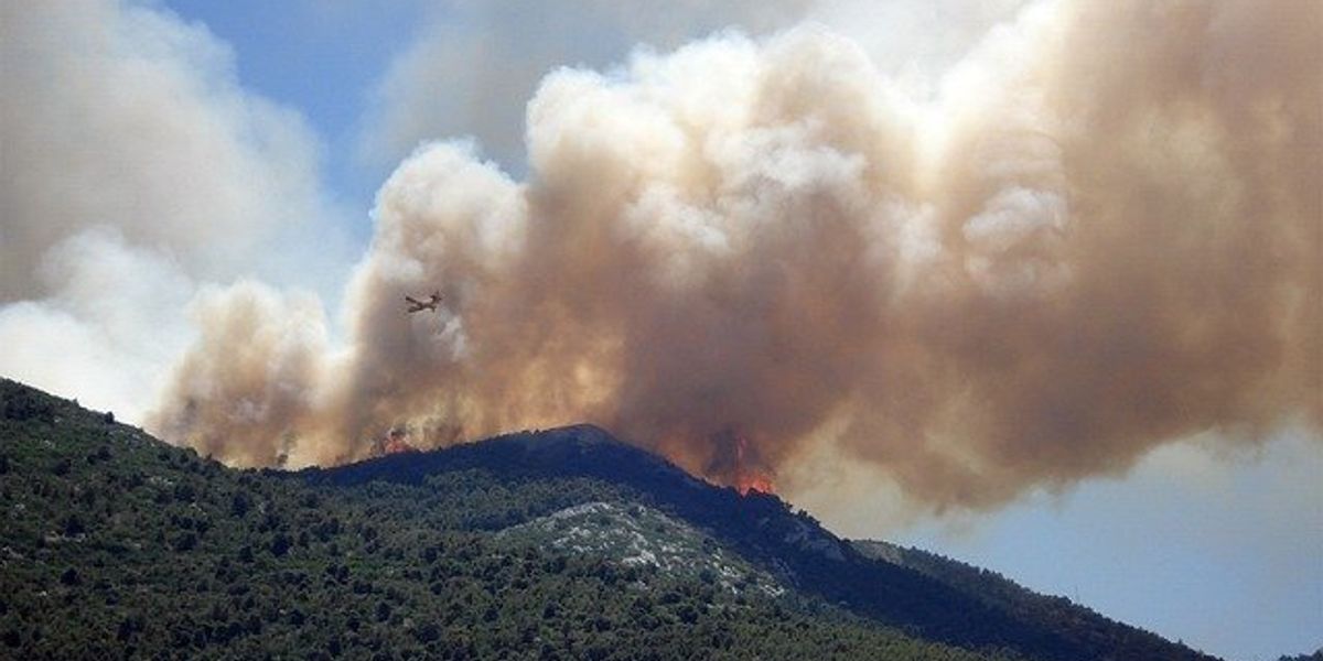 Wildfire smoke and fire on a hill