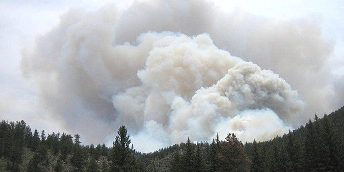 Wildfire smoke billowing above a green hillside.