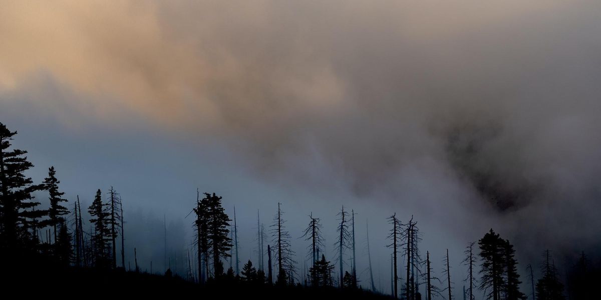 Wildfire smoke deaths