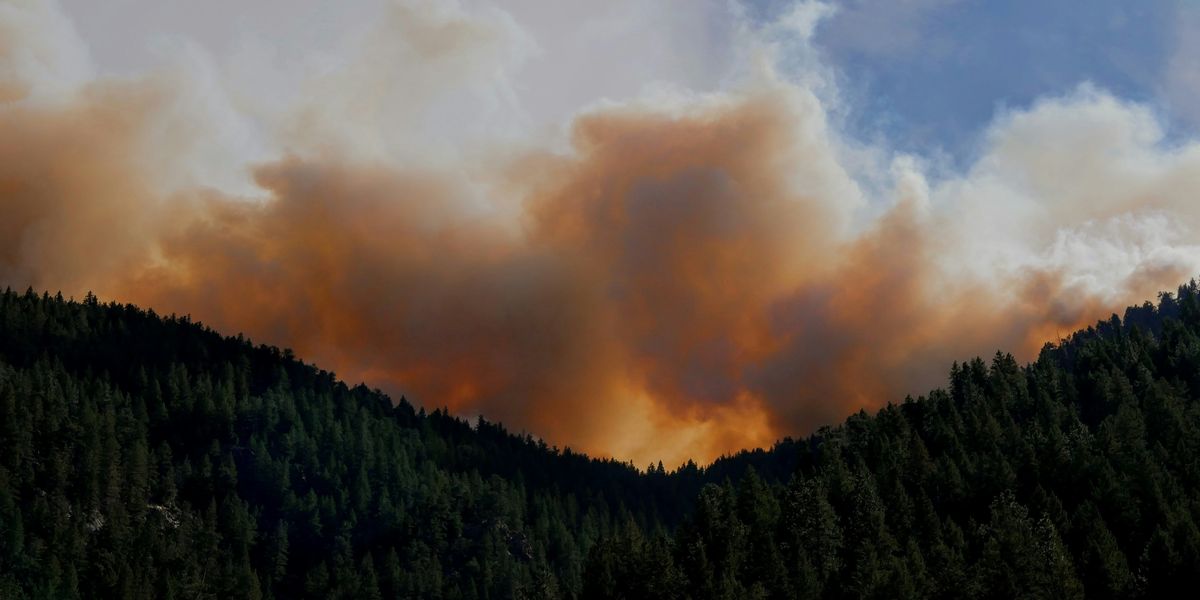 Wildfire smoke in the distance with a forested hill in the foreground.