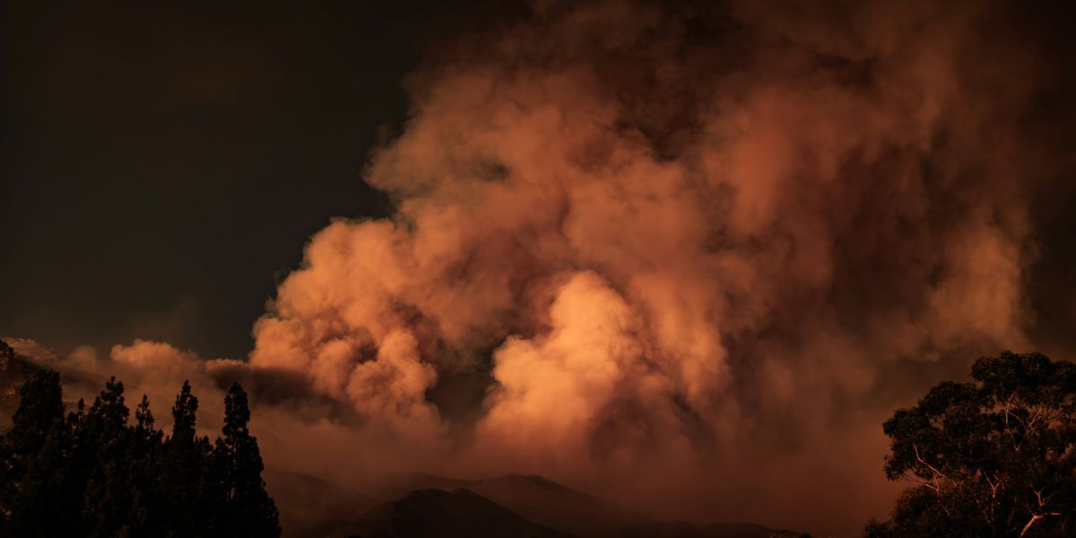Wildfire smoke on a mountainside with trees