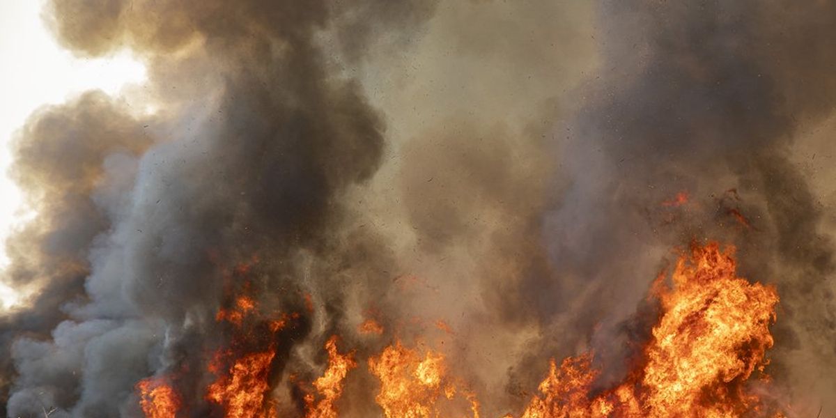 Wildfire with billowing smoke rising from the flames.