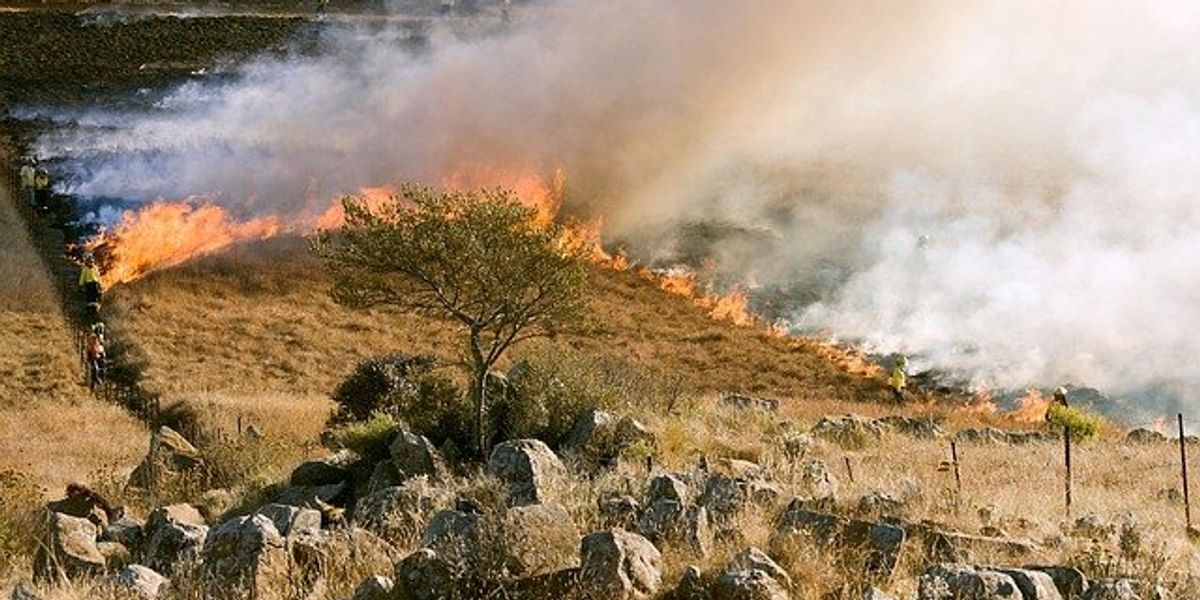 Wildfire with smoke billowing from the flames.