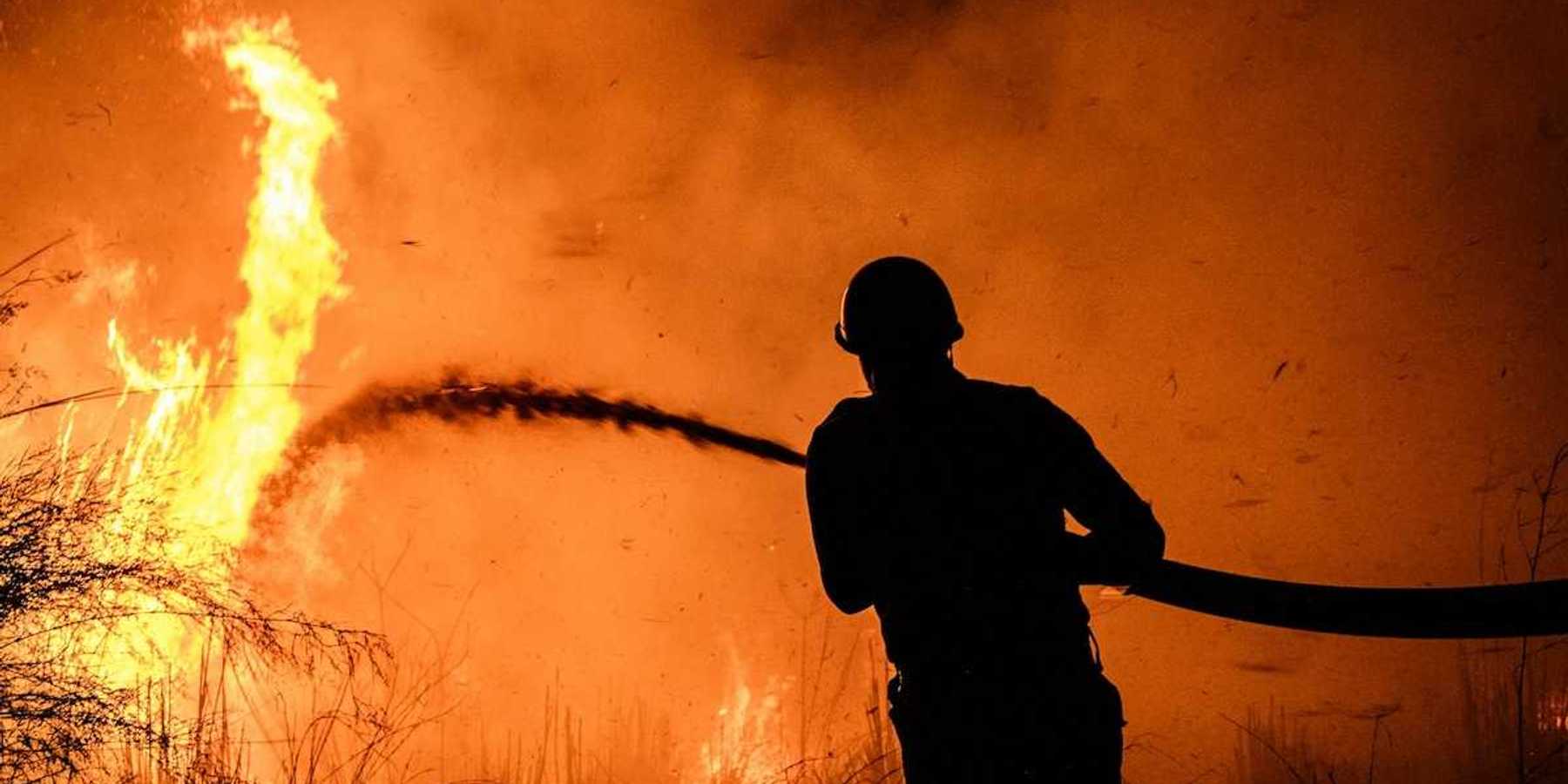 Wildland fire fighter, silhouetted against flame-orange backdrop, training hose on wildfire.