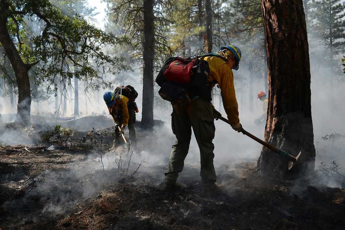 Wildland firefighters managing a controlled burn