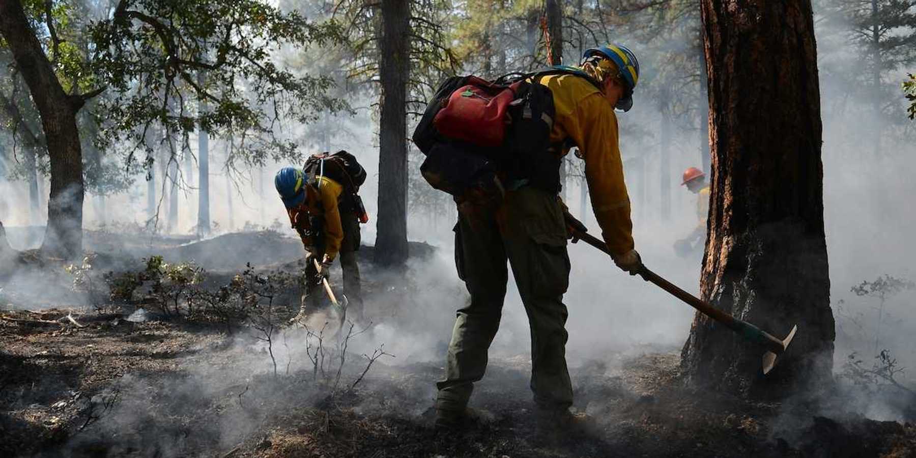 Wildland firefighters managing a controlled burn