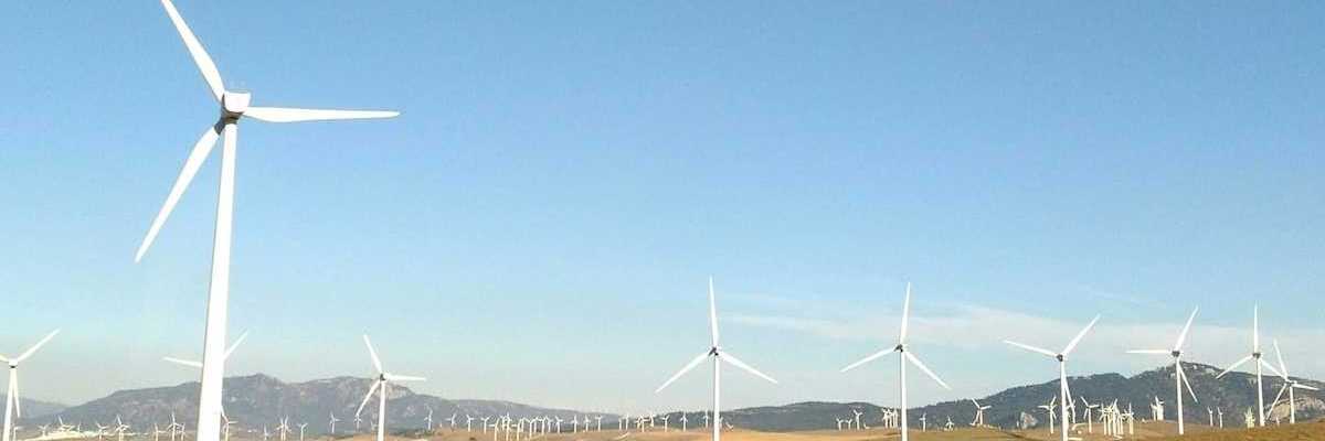Wind farm on what appears to be high plains with cattle grazing and resting beneath turbines.
