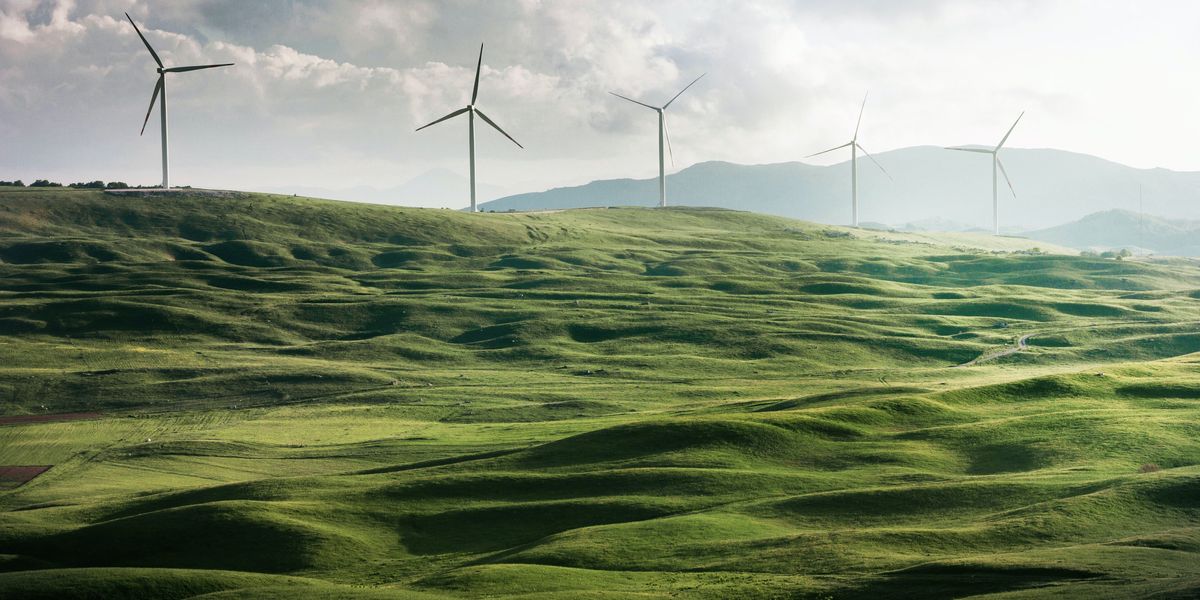 wind farm