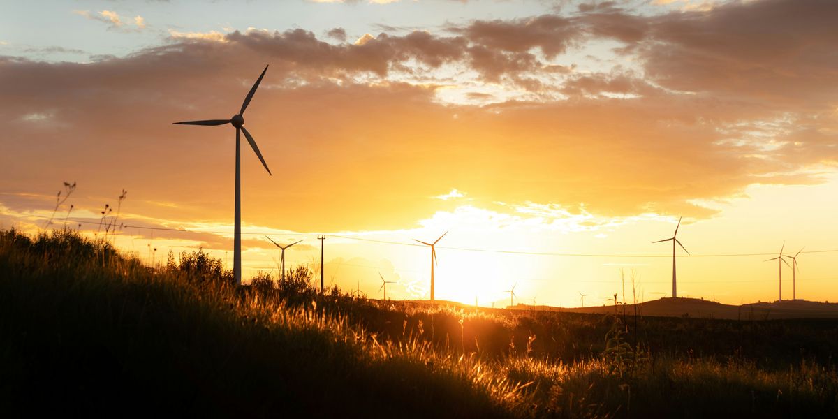 wind turbines on green grass field during sunset.