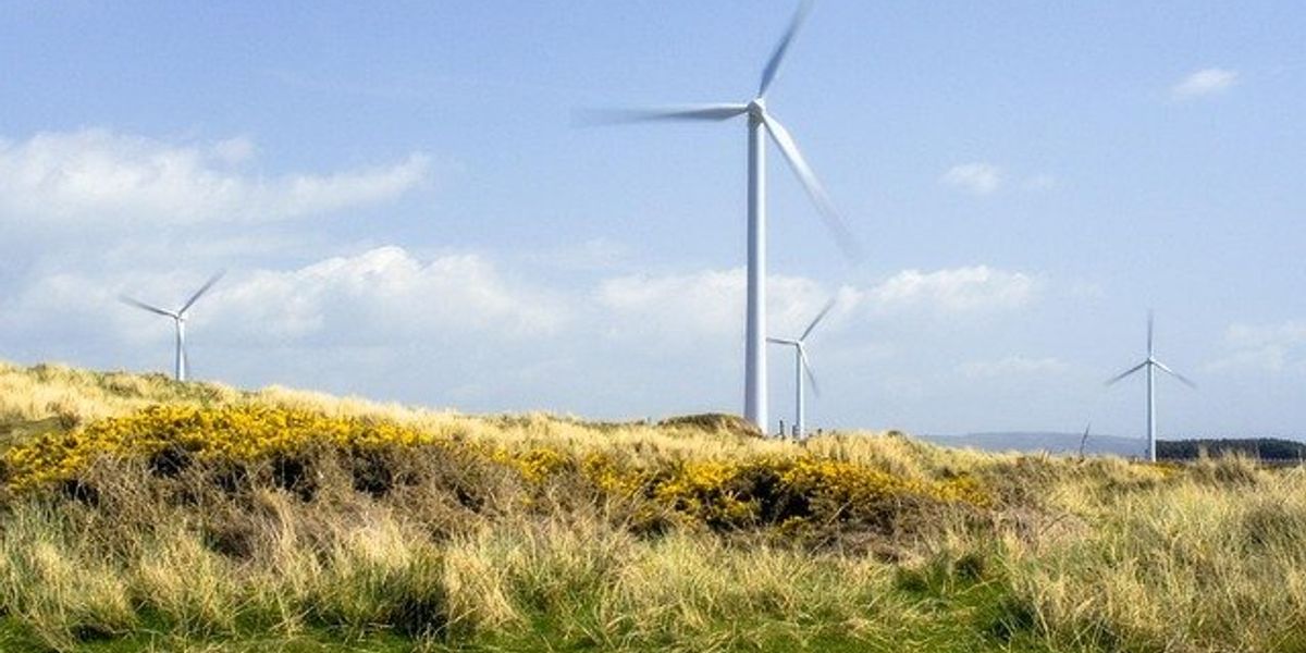 Wind turbines stretching into the distance on a grassy hillside