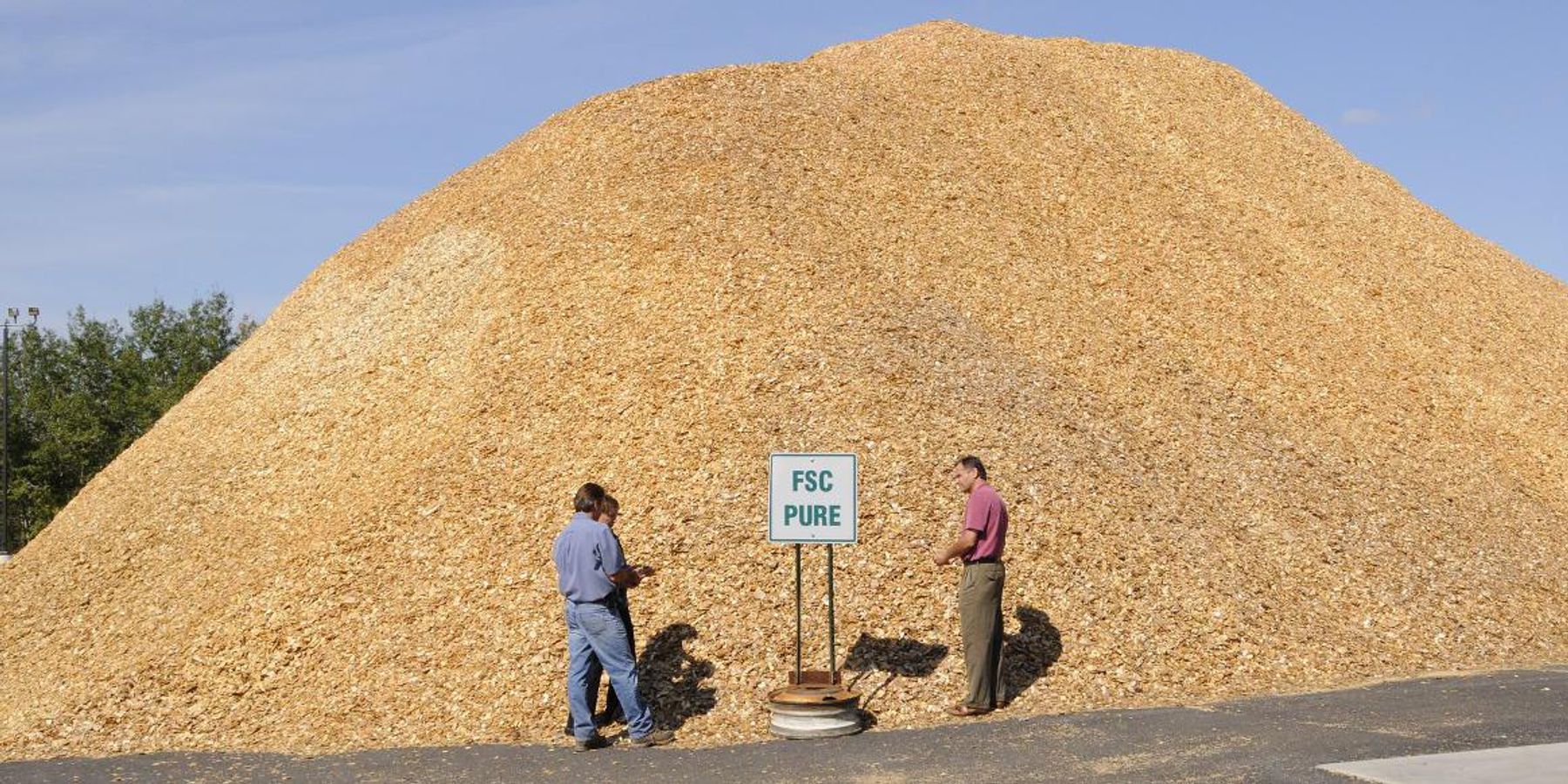 Wood pellet manufacturing plant