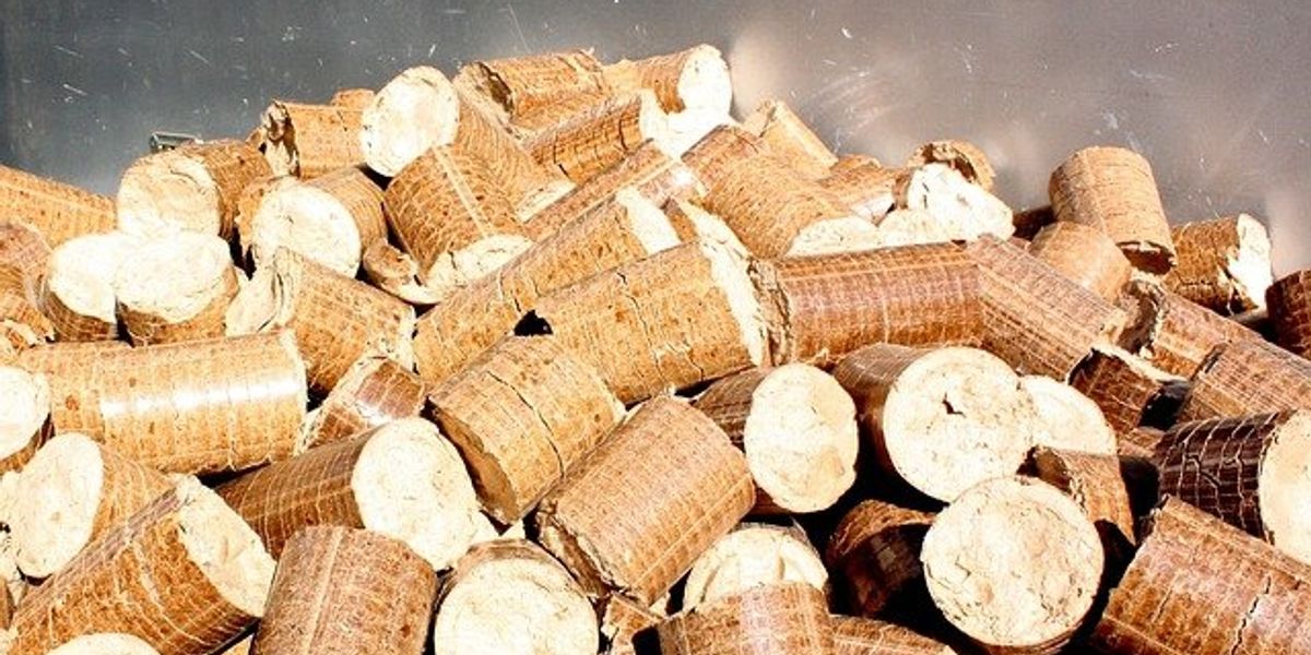 wood pellets mississippi pollution 