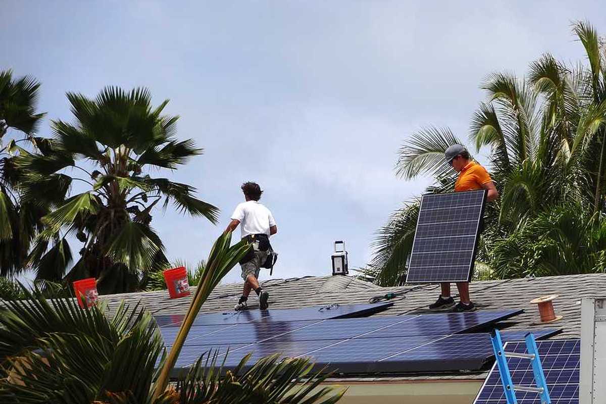 Workers installing solar panels on a roof with palm trees in the background