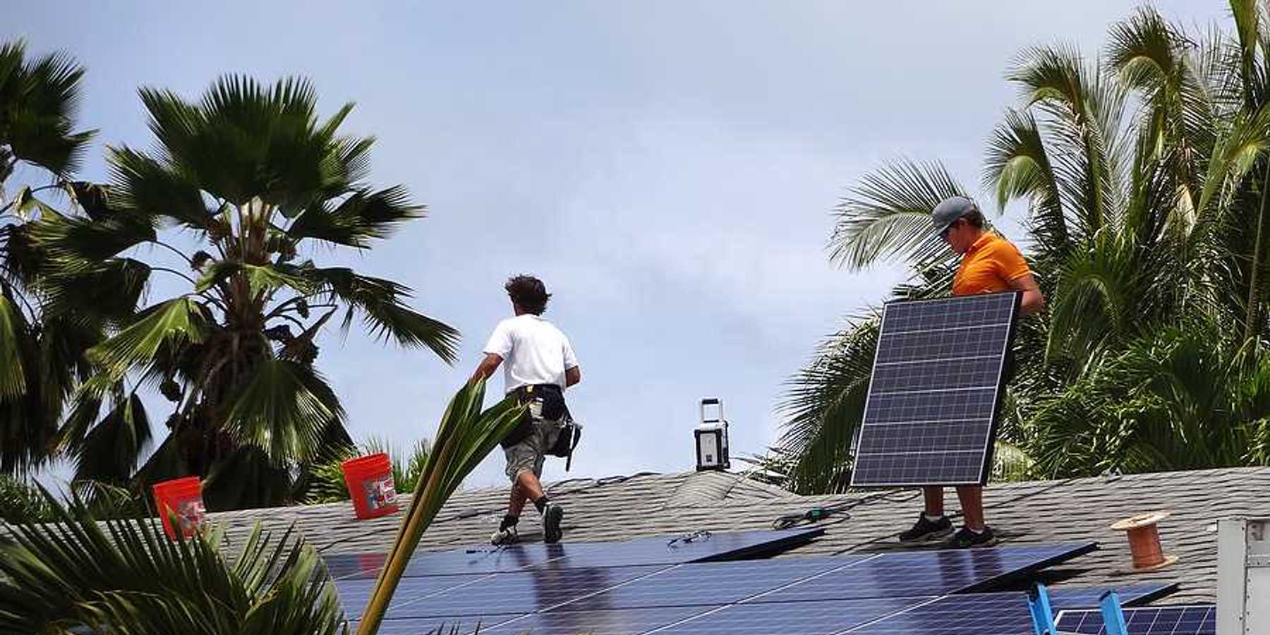 Workers installing solar panels on a roof with palm trees in the background