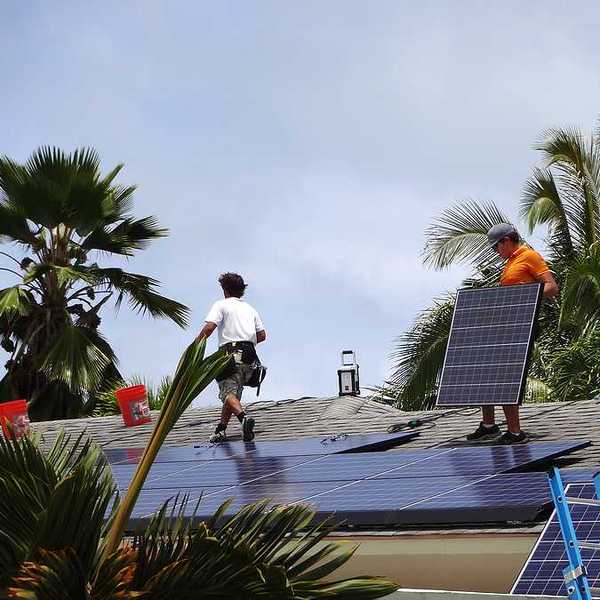 Workers installing solar panels on a roof with palm trees in the background