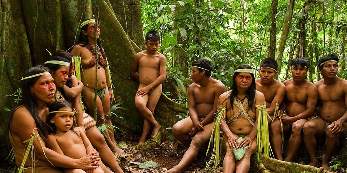 yasuni national park indigenous energy drilling